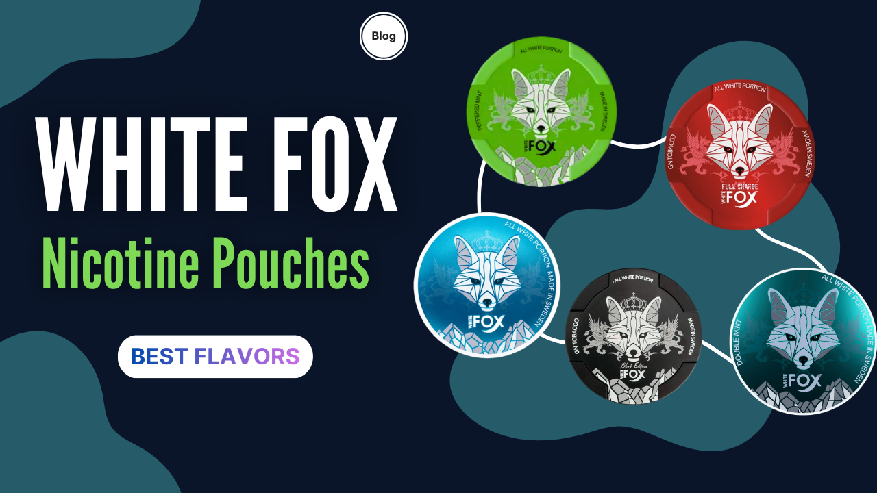 Best White Fox Nicotine Pouch Flavors in UAE 8 Best White Fox Nicotine Pouch Flavors in UAE
