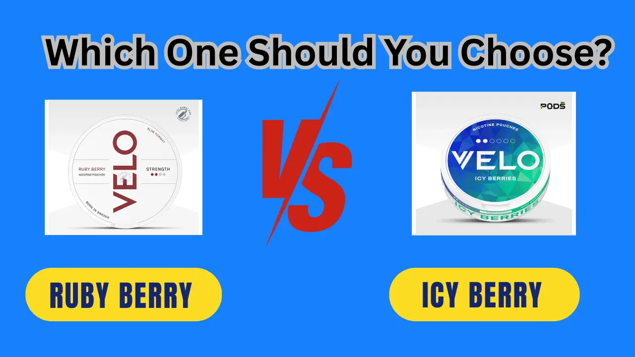 VELO Ruby Berry and Icy Berries Flavors Review in Dubai