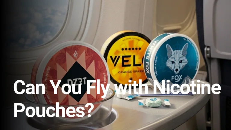 Can You Fly with Nicotine Pouches? UAE Travel Rules for 2026