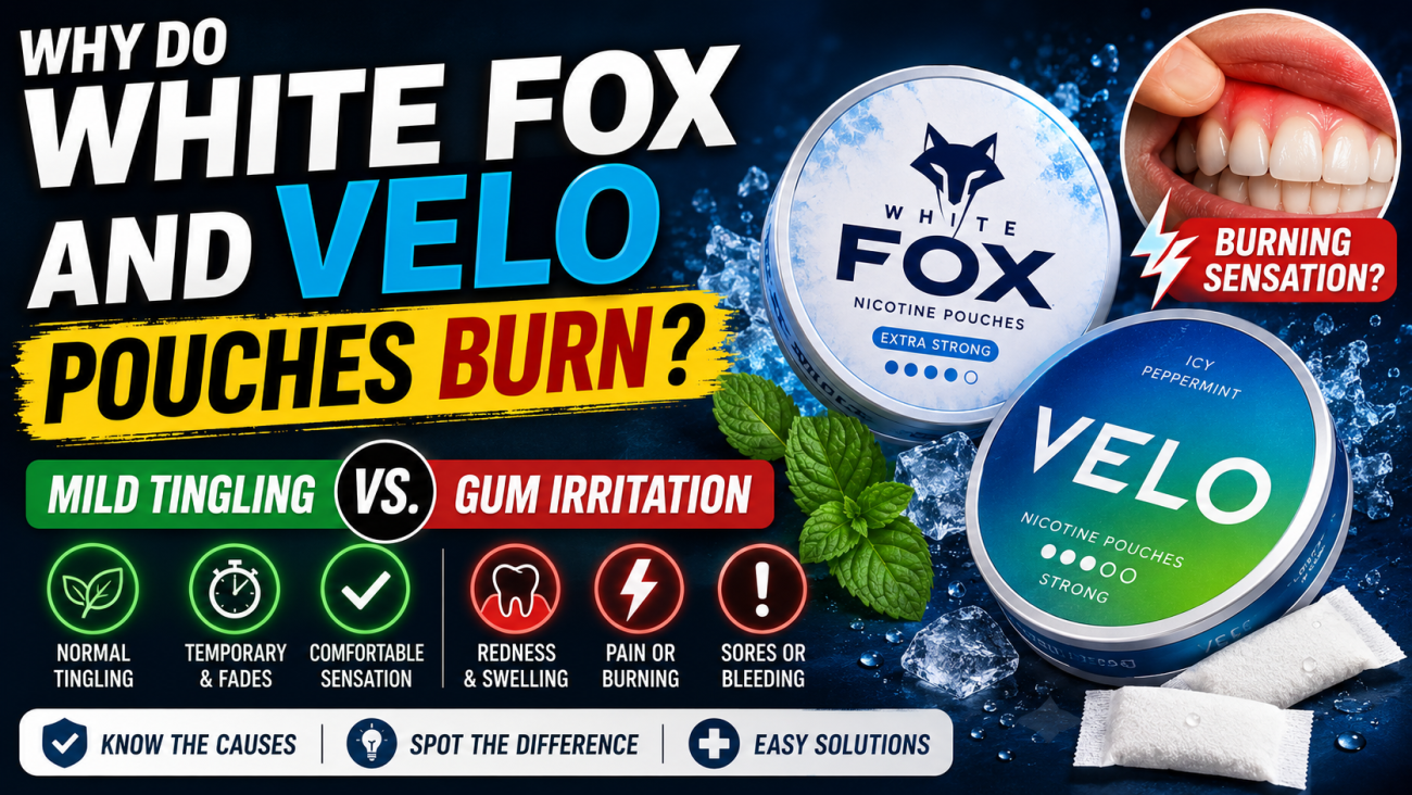 Why Do White Fox and VELO Pouches Burn Mild Tingling vs. Gum Irritation